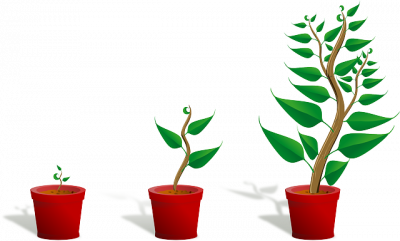 Scalable fulfillment solution